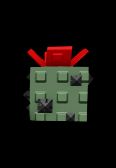 Cactus